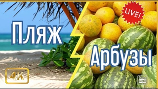 Путешествие. Пляж города Анапы и Витязево. Кубанские овощи и фрукты