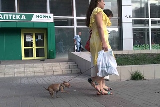 Trip to Желдор