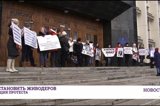 Около здания Одесской ОГА прошел митинг против живодеров