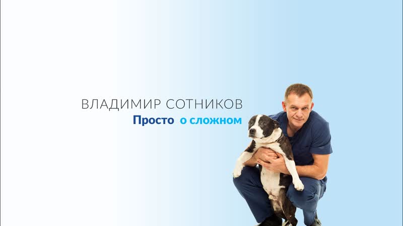 Миастения у собаки связанная с тимомой. Тимома