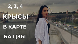 2, 3, 4 Крысы в карте рождения Ба Цзы 4 столпа Судьбы