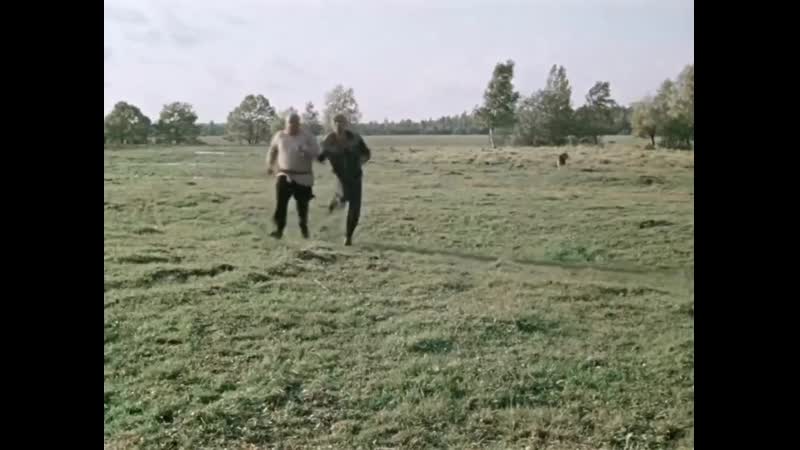 Пес Барбос и необычный