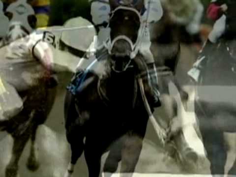 The Sound Horse