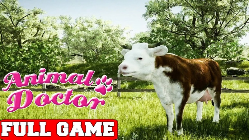 Animal