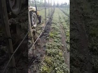 ТД АгроТрейд  , нож для приствольной обработки Kadiogly  +7 903 642 07 82
