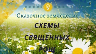 Схемы Священных Рощ  26 07 21