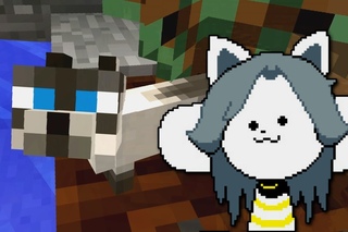 Undertale: Temmie Village - Minecraft Cat Version