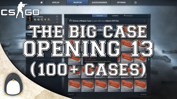 The Big Case Opening 13. (100+