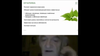 Геля Алоэ Вера Сивера от LR   профессор Дадали В А