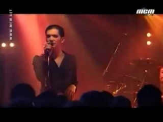 Hang On To Your IQ (Placebo)