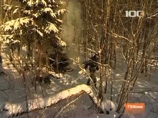 Сюжет «Выживальщики», программа «Однажды утром», 100ТВ