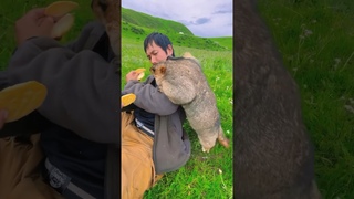 Братья на веки  дагестанская озвучка #юмор