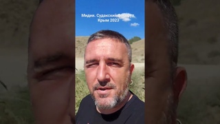Мидии. Судакский фастфуд сразу из Чёрного моря. Крым в лето 2023
