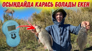 Мына ямада тек ірі балықтар Нура рыбалка балык аулау