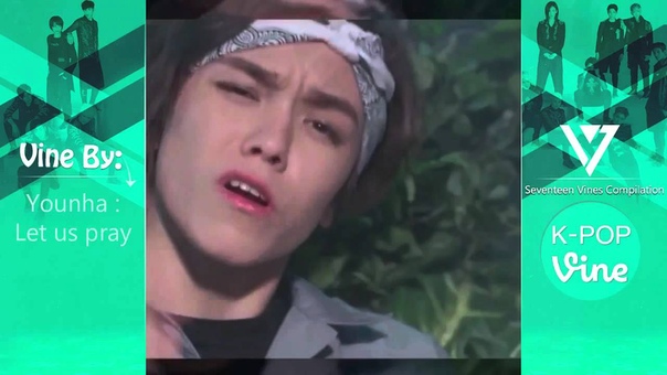 Seventeen Vines