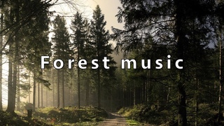Most incredible music ever - Forest music