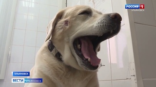 Сезон активности клещей в разгаре