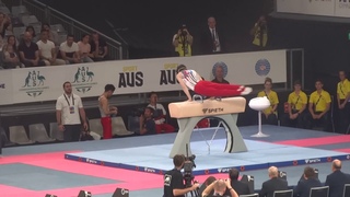 Stephen Nedoroscik - USA - PH - Final - 2020 World Cup Gymnastics, Melbourne, Australia