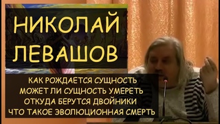 Н.Левашов: Как рождается сущность и может ли она умереть. Откуда берутся клоны. Эволюционная смерть