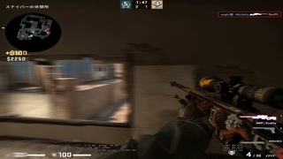 In the End  (csgo montage)