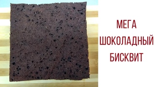 Мега шоколадный бисквит