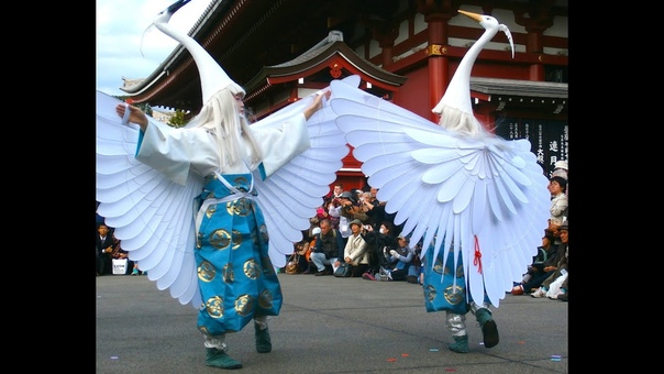 Japanese White Heron Dance Shirasagi no