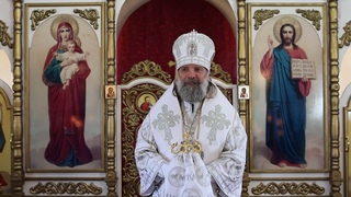 Проповедь епископа Питирима (Творогова) в день Лазаревой субботы.