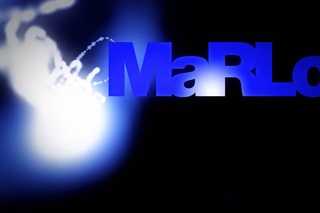 MaRLo - Megalodon