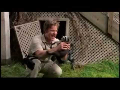 Saving Silverman The