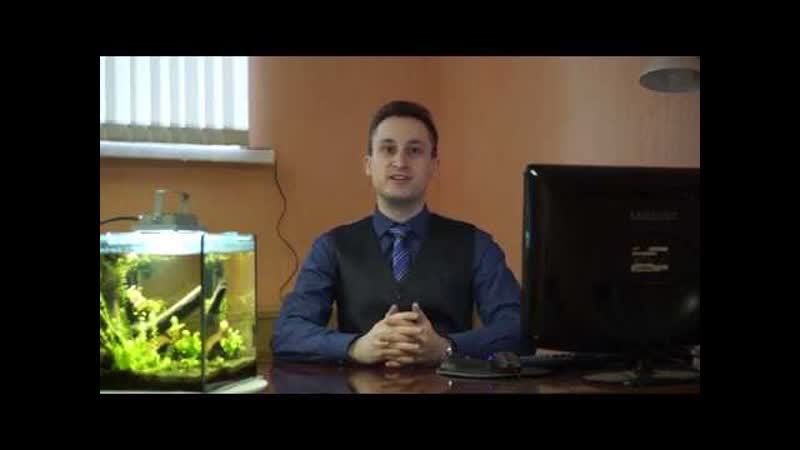 Раздел имущества: делим квартиру, дом и машину при