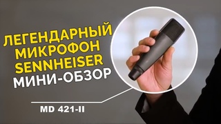 Микрофон MD 421 II – Бриллиант Sennheiser