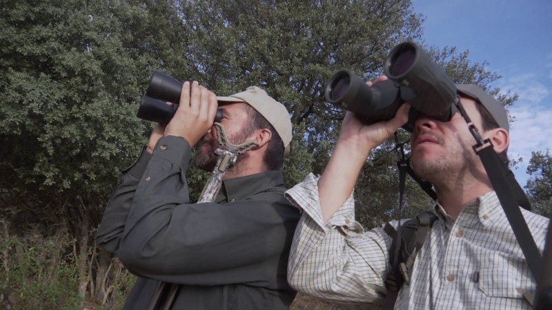 Bergara B 14 Extreme