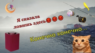ПУТЕШЕСТВИЕ С АЛИСОЙ - СЕКРЕТНЫЕ МЕСТА РЫБАЛКИ #rf4 #русскаярыбалка4 #рр4 #норвежскоеморе
