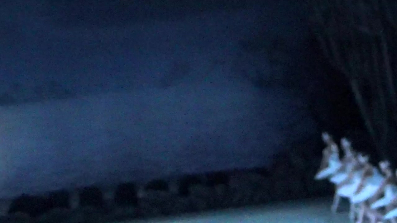 ЛО : мал. , бол.