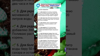 Топ 6 подкормок овощей