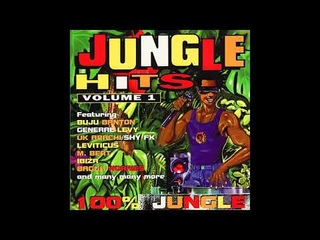 Various - Jungle Hits Vol. 1 (1994)