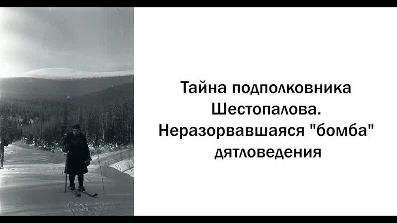 Тайна подполковника Шестопалова. Неразорвавшаяся бомба