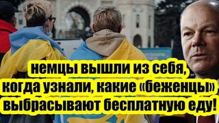 Вот это поворот! Понимаю Россию все лучше: немцы вышли из себя, когда узнали...