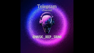 В работе сабы Американских фирм Cerwin - Vega & `Sundown audio
