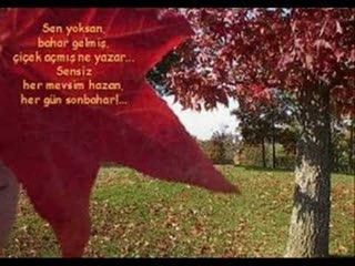 Naide Gktrk-Sakn ha