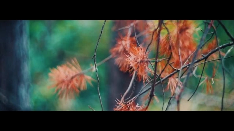 Love Story Valentin and Anna (2018) Режиссёр Раниль