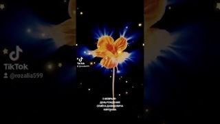 Памяти Семёна Давидовича Кирлиан