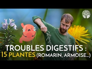 Comment soulager les lourdeurs digestives, reflux, les gaz, la constipation… avec les plantes
