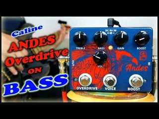 Caline Andes Boost Overdrive DCP-11 (Bass Demo)