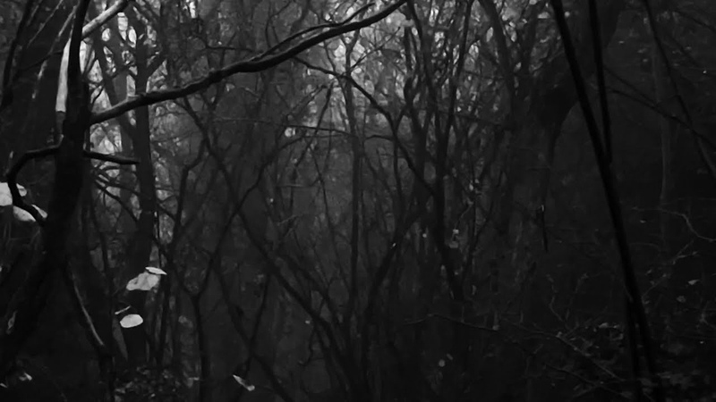dexndre dead in the rain prod.