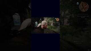 Ведьмак 3: Дикая Охота / СТРАЖНИКИ! / #shorts