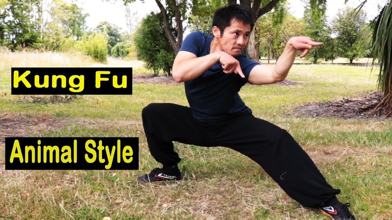 Kung Fu Animal Style With Stances