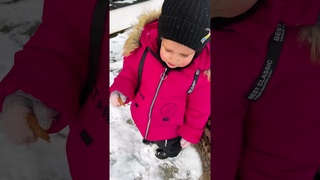 Нежная снежная рысь