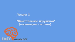 Общая неврология. Лекция 2 Двигательные нарушения (пирамидная система)