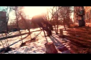 Весеннее обострение.